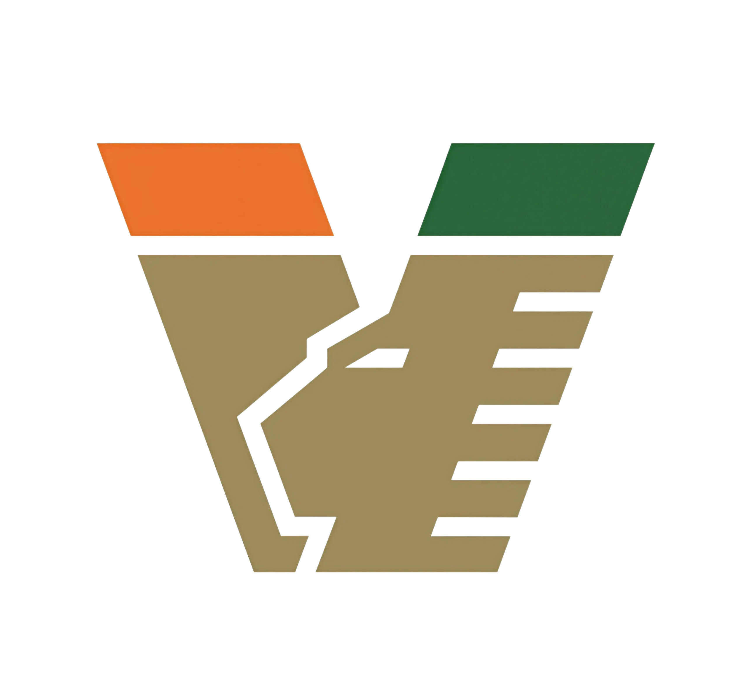 Venezia FC