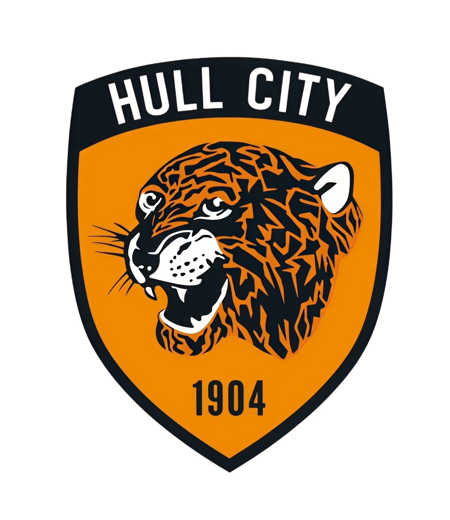 hull city